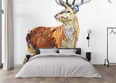 Watercolor animal deer isolated on white background Wall mural