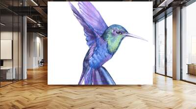 Watercolor hummingbird  bird animal on a white background illustration Wall mural