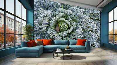 frozed vegetable in winter garden Wall mural