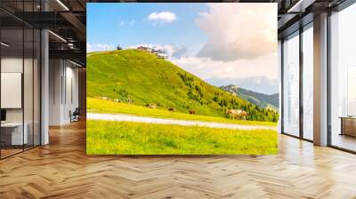 In the Austrian Alps, cows graze peacefully on the lush green slopes of Schmittenhohe during a sunny summer day. Visitors can be seen enjoying the tranquil landscape. Wall mural