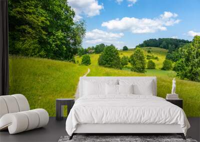 Narrow rural pathway in hilly landscape with lush green meadows on sunny summer day. Wall mural