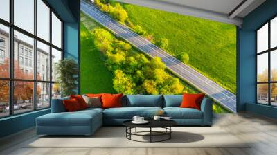 Straight asphalt road from above Wall mural