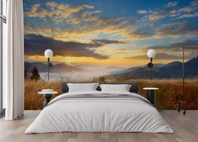 grass and sunrise in Carpathians Wall mural