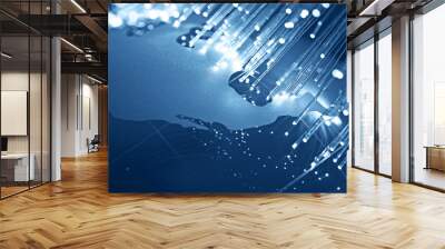 Fiber optics Wall mural