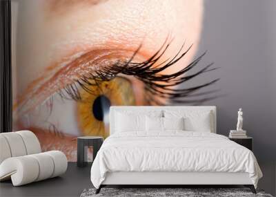 woman eye with long eyelashes Wall mural