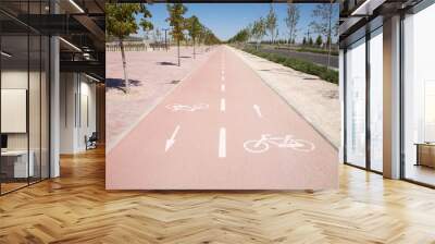 lonely bikeway Wall mural