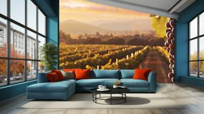 A vineyard with a bunch of grapes hanging from the vines Wall mural