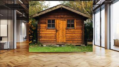 Frontal view of wooden garden shed glased in teak color Wall mural