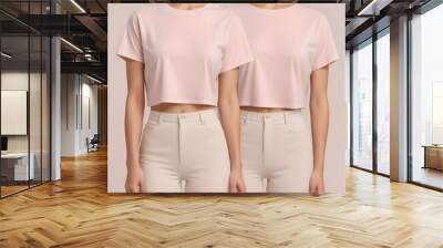 2 Set of pastel light pink beige woman loose cropped midriff tee t shirt round neck front, back and side view on transparent background cutout, PNG file. Mockup template for artwork graphic design Wall mural