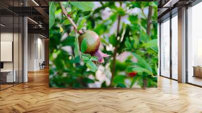 green granat on a tree Wall mural