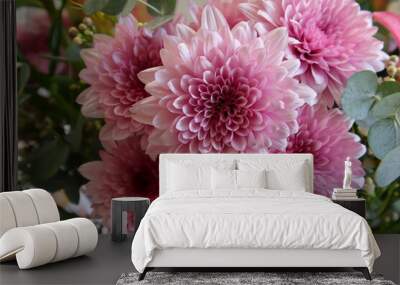 pink chrysanthemum flower Wall mural