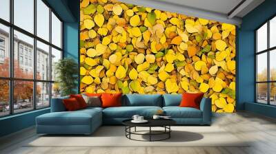 Vibrant autumn leaves in shades of yellow and green scattered on the ground. Wall mural