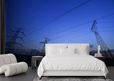 The power supply facilities of contour in the evening Wall mural