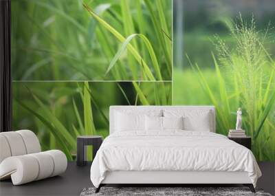 Green Grass Wall mural