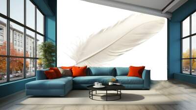 feather isolated on white background Wall mural