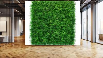 green grass isolated on white background Wall mural