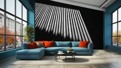 black and white art photography shadow of pattern interior line contrast light and shade. Wall mural