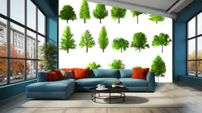 green tree summer season set for architecture landscape design, 3d tree isolated on white no.1 Wall mural