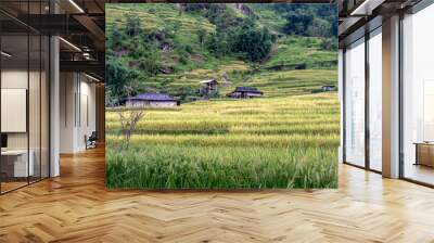 Admiring the beautiful terraced fields in Bac Quang District, Ha Giang Province, Vietnam Wall mural