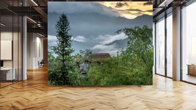 Community tourism - Nam Hong village is one of the attractive destinations. This is a place with beautiful natural landscapes, where mountains and forests meet and terraced fields meet. Wall mural