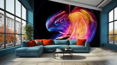 Colorful abstract luminous swirling particles in a sphere. Glowing spiral shape on black background. swirl of organic shapes.
 Wall mural