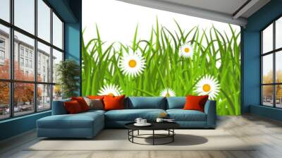 Green grass with flower frame. Spring grass and daisy border isolated. Wall mural