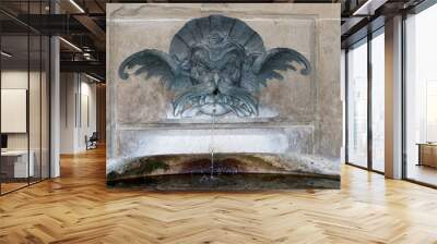 Fountain in the Pitti Palace in Florence Tuscany Italy Wall mural