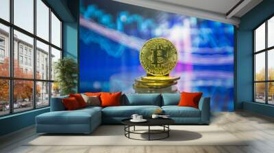 Bitcoin gold coin and defocused chart background. Virtual cryptocurrency concept. Wall mural