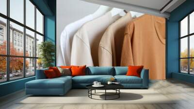 Row of brown t-shirts colors variant hanging on white hanger on rack clothes Wall mural