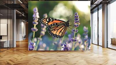 A butterfly landing gently on a blooming lavender flower in a sunny garden Wall mural