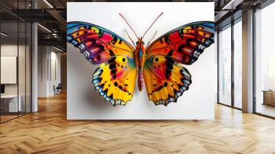 A butterfly with colorful wings spread out, isolated on a pristine white background Wall mural