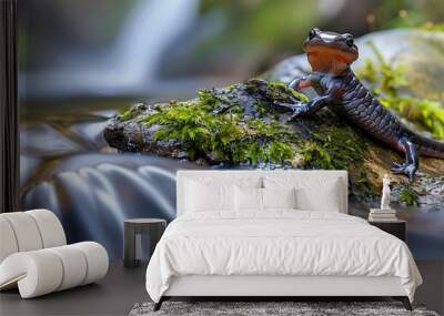 A close-up of a salamander crawling on a mossy rock next to a flowing stream Wall mural