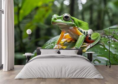 A vibrant green tree frog clinging to a wet leaf in a dense rainforest Wall mural