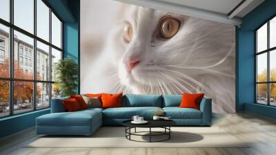 Close-up of a beautiful fluffy white cat with bright, alert eyes, capturing its soft fur and expressive face in natural light Wall mural