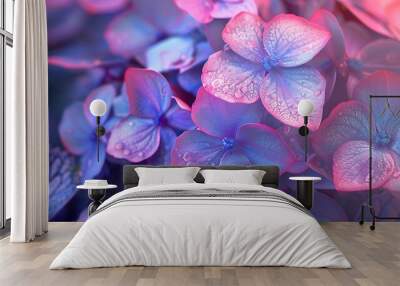 Close-up of mophead hydrangea flowers with detailed textures and vibrant colors, showcasing the flowers and leaves in high-definition Wall mural