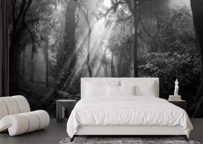 Deep tropical jungle in black and white Wall mural