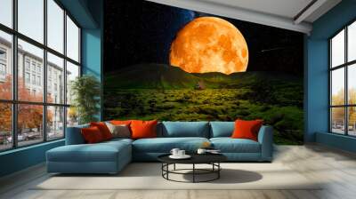 House on the meadow in the light of the full moon Wall mural