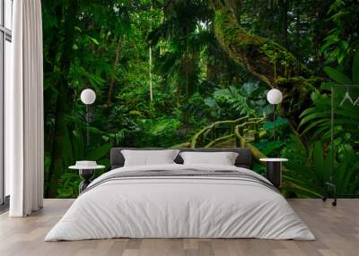 Southeast Asian rainforest with deep jungle Wall mural