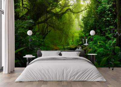 Tropical rain forest in Central America Wall mural