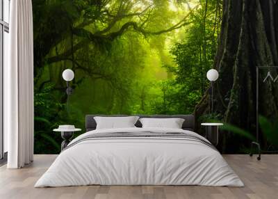 Tropical rain forest with big tree Wall mural