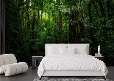 Tropical rain forest with green leaves Wall mural