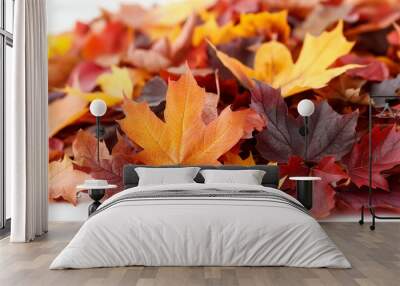 autumn foliage close up stack of fallen maple leaves on ground Wall mural