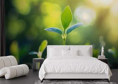 reforestation theme concept, a new seedling tree sprout is growth in soil Wall mural