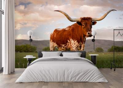 Texas Longhorn Wall mural