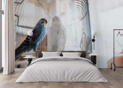 A close-up view of two budgerigars relaxing inside a cage, highlighting their vibrant feathers and serene environment. Wall mural