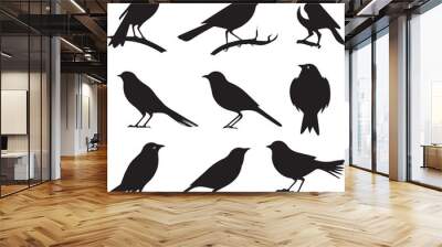 Set of Birds on branch silhouette on white background  Wall mural