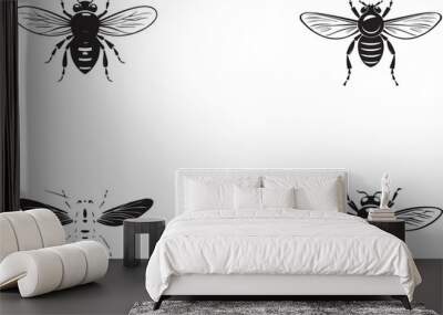 The different between fly and black soldier fly icon with white background  Wall mural