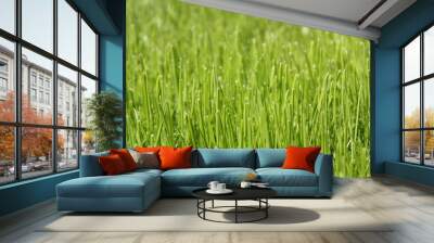 Gras 2 Wall mural