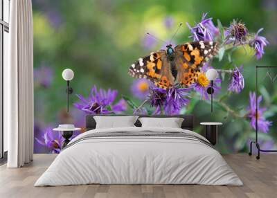 Painted Lady Butetrfly Perched on Flower Wall mural