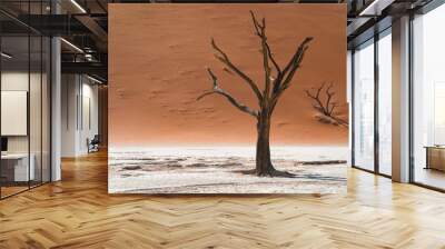 Dead Camelthorn tree against towering sand dunes at Deadvlei in the Namib desert, Namib-Naukluft National Park, Namibia. Wall mural